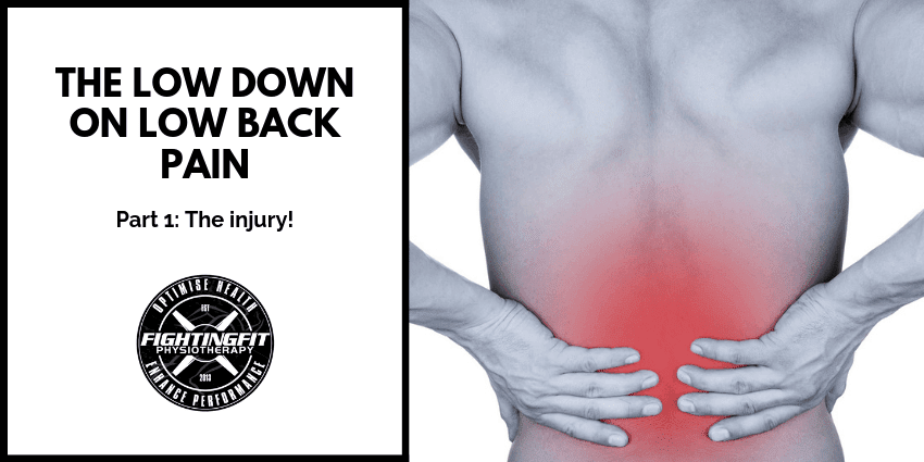 The Low Down on Low Back Pain